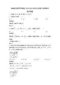 河南省信阳市平桥区2023-2024学年七年级下学期期中数学试题（解析版）