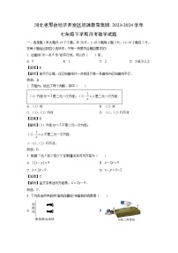 河北省邢台经济开发区思源教育集团2023-2024学年七年级下学期月考试数学试题（解析版）