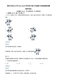 广西壮族自治区柳州市铁五中学2023-2024学年七年级下学期期中数学试题（学生版+教师版）