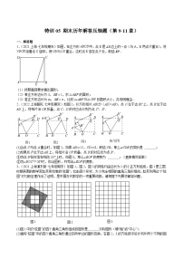 沪教版七年级数学上册期中期末挑战满分冲刺卷特训05期末历年解答压轴题(第9-11章)(原卷版+解析)