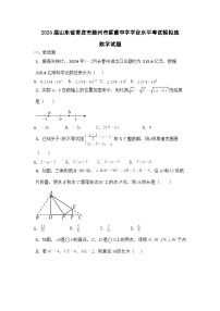 2024年山东省枣庄市滕州市望重中学初中学业水平考试模拟练数学试题