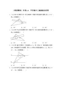 浙教版七年级数学下册(培优特训)专项1.4平行线中三角板综合应用(原卷版+解析)