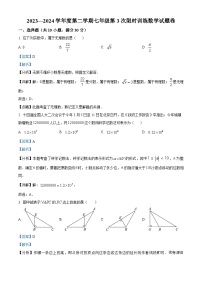 20，湖南省长沙市开福区青竹湖湘一外国语学校2023-2024学年七年级下学期第三次月考数学试题