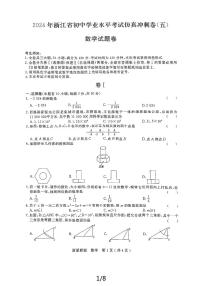 10，2024年浙江省初中学业水平考试仿真冲刺卷五 数学（浙派联盟）