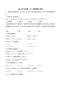 11，湖南省岳阳市湘阴县白湖乡中学2023-2024学年七年级下学期5月期中考试数学试题