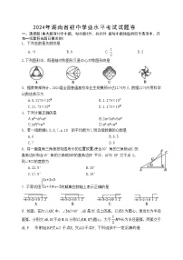 12，2024年湖南省初中学业水平考试数学试题卷（万唯金卷）