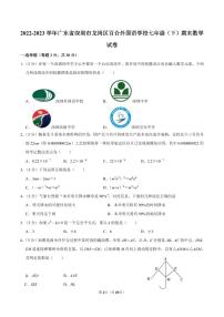 2022-2023学年深圳市龙岗区百合外国语学校七年级下学期末数学试卷及答案