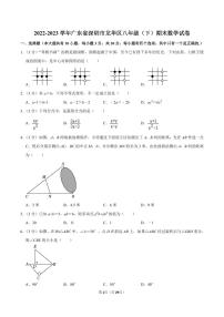 2022-2023学年深圳市龙华区八年级下学期期末数学试卷及答案