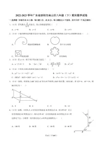 2022-2023学年深圳市南山区八年级下学期期末数学试卷及答案