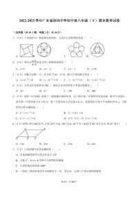 2022-2023学年深圳中学初中部八年级下学期期末数学试卷及答案