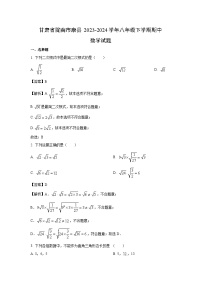 数学：甘肃省陇南市康县2023-2024学年八年级下学期期中试题（解析版）