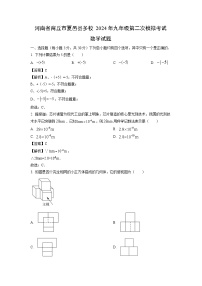 数学：河南省商丘市夏邑县多校2024年九年级第二次模拟考试试题（解析版）