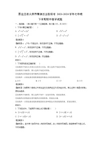 数学：黑龙江省大庆市肇源县五校联考2023-2024学年七年级下学期期中试题（解析版）