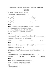 数学：福建省龙岩市新罗区2023-2024学年七年级下学期期中试题（解析版）