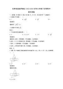 数学：甘肃省陇南市康县2023-2024学年七年级下学期期中试题（解析版）