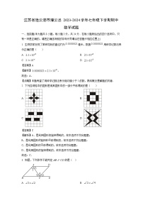 数学：江苏省连云港市灌云县2023-2024学年七年级下学期期中试题（解析版）