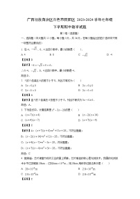 数学：广西壮族自治区百色市田阳区2023-2024学年七年级下学期期中试题（解析版）