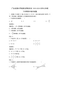 数学：广东省惠州市博罗县四校联考2023-2024学年七年级下学期期中试题（解析版）