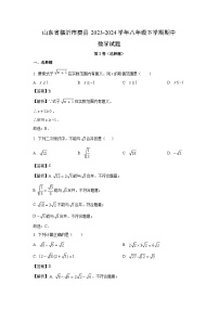 数学：山东省临沂市费县2023-2024学年八年级下学期期中试题（解析版）