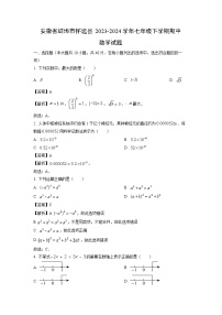 数学：安徽省蚌埠市怀远县2023-2024学年七年级下学期期中试题（解析版）