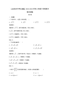 数学：山东省济宁市北湖区2023-2024学年八年级下学期期中试题（解析版）