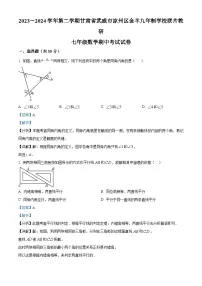 甘肃省武威市凉州区金羊九年制学校联片教研2023-2024学年七年级下学期4月期中考试数学试题（学生版+教师版）