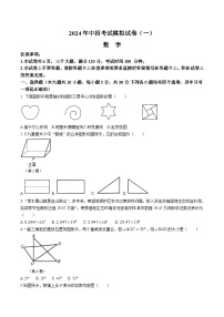 河南省周口市郸城县五校2024届九年级下学期中考一模数学试卷(含解析)