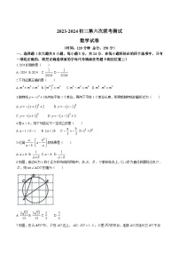 江苏省宿迁市沭阳县2024届九年级下学期第六次联考数学试卷(含答案)