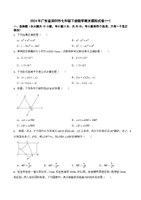 +广东省深圳市2023—2024学年七年级下学期数学期末模拟试卷(一)