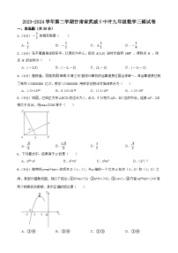 2024年甘肃省武威十中片九年级数学中考三模试卷