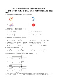 广东省深圳市2023—2024学年八年级下学期数学期末模拟试卷(一)