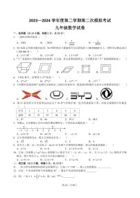 2024年广东省东莞市东莞中学松山湖学校+中考二模九年级数学试题