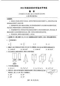 2024年湖北省初中学业水平考试中考模拟数学试卷