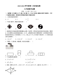 2024年山东省菏泽市鄄城县中考二模数学试题