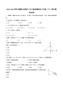 2023-2024学年安徽省合肥四十五中森林城校区八年级（下）期中数学试卷（含解析）