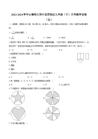 2023-2024学年云南师大附中呈贡校区九年级（下）月考数学试卷（五）（含解析）