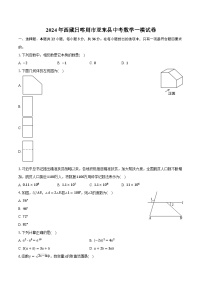 2024年西藏日喀则市亚东县中考数学一模试卷（含解析）