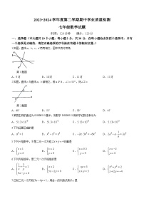 山东省菏泽市成武县2023-2024学年七年级下学期4月期中考试数学试题(无答案)