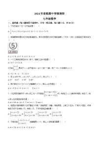 河南省南阳市桐柏县2023-2024学年七年级下学期期中数学试题（含答案）