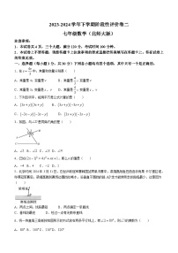 河南省周口市项城市第二初级中学2023-2024学年七年级下学期期中数学试题(无答案)