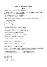 河北省衡水市安平县实验初级中学2023-2024学年八年级下学期月考数学试题（含答案）