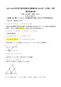 四川省成都市实外西区学校2023-2024学年七年级下学期期中数学试题(无答案)