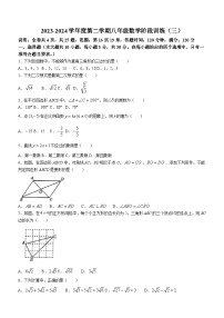 广东省湛江市廉江市良垌镇第三初级中学2023-2024学年八年级下学期月考数学试题(无答案)