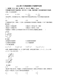 2024年湖北省武汉市经开区中考模拟数学试题