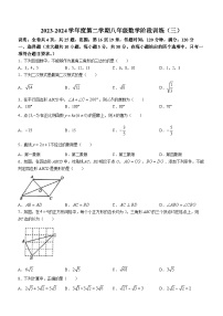 广东省湛江市廉江市良垌镇第三初级中学2023-2024学年八年级下学期月考数学试题