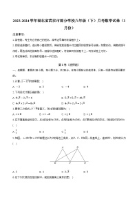 湖北省武汉市部分学校2023-2024学年八年级下学期3月月考数学试卷