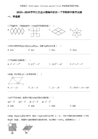 2023_2024学年江苏连云港海州区初一下学期期中数学试卷