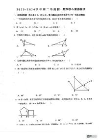 山东省+潍坊市潍城区于河街办实验中学2023-2024学年七年级下学期6月月考数学试题