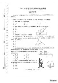 2024年甘肃省陇南市武都区中考三模数学试题