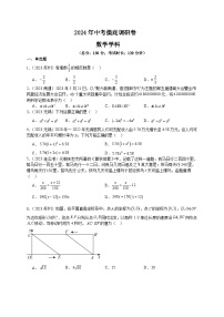 江苏省苏州市2024年中考数学模拟试题